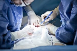 雷射應用與各種行業